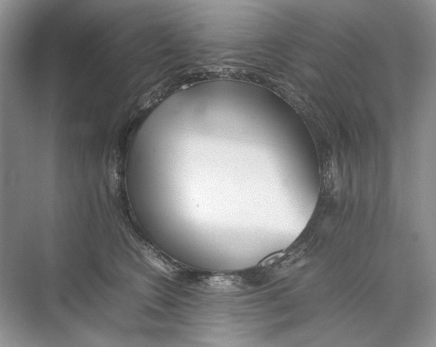 X0000074330566200609230055