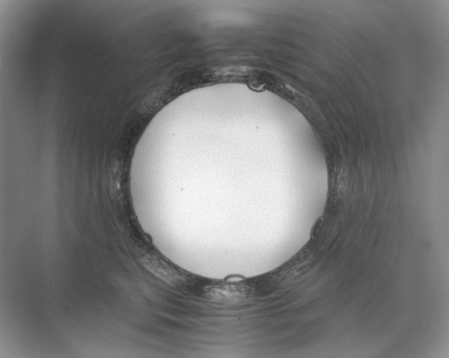 X0000074330567200609230055