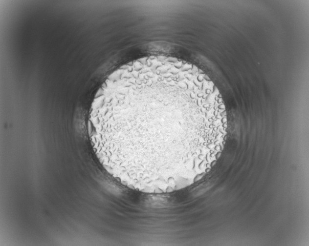 X0000074330573200609230055