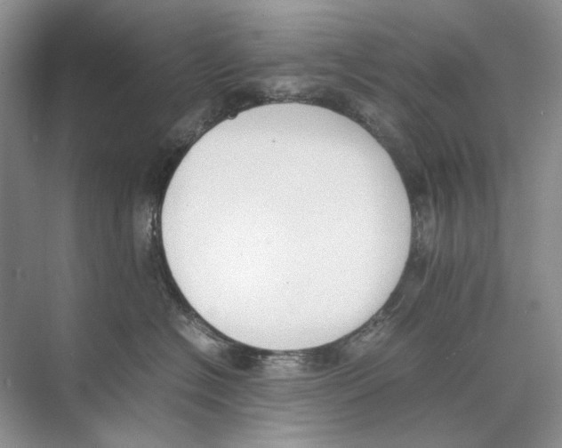 X0000074330574200609230055