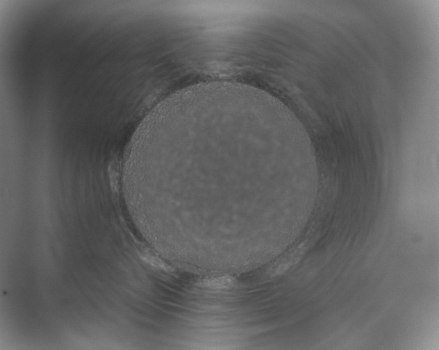 X0000074330576200609230055