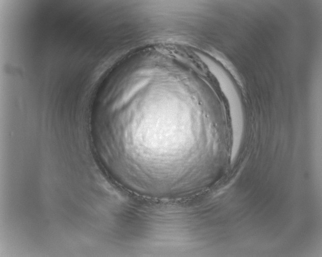 X0000074330577200609230054