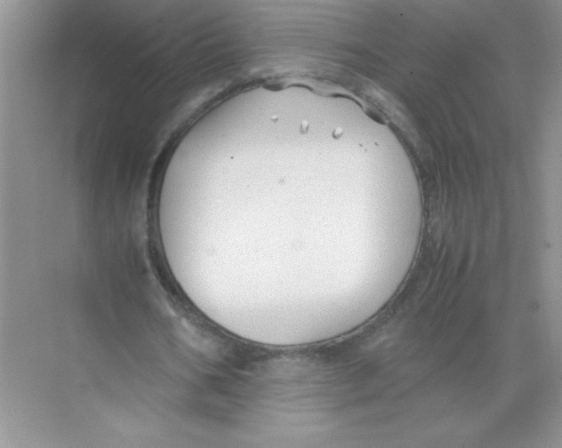 X0000074330578200609230054