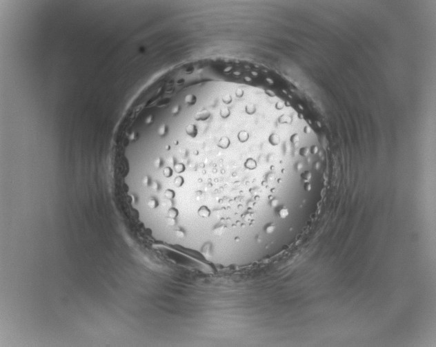 X0000074330580200609230054