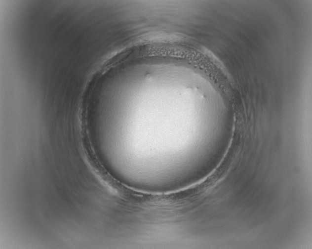 X0000074330581200609230054