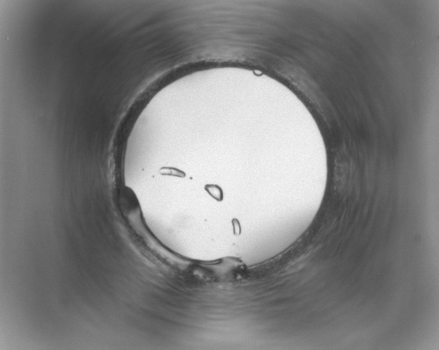 X0000074330584200609230054