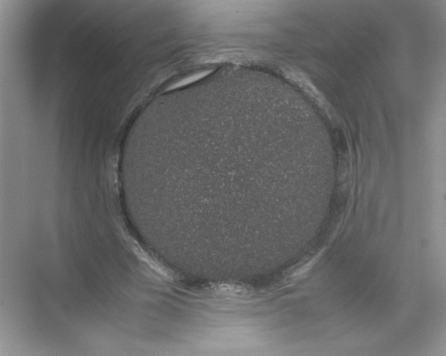 X0000074330585200609230054