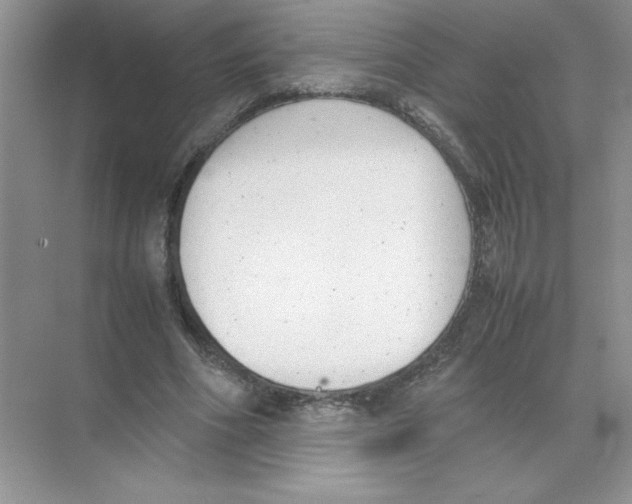 X0000074330586200609230054