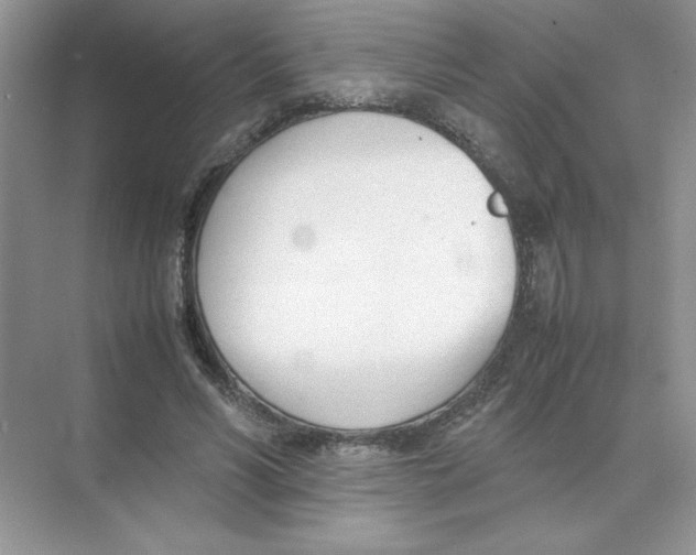 X0000074330590200609230054