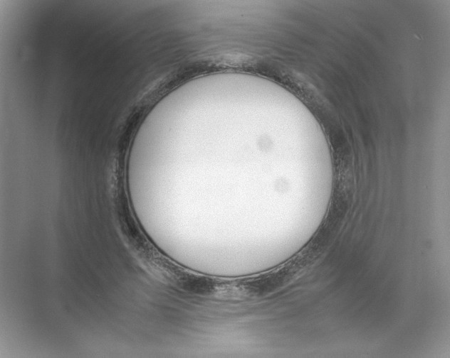 X0000074330591200609230054