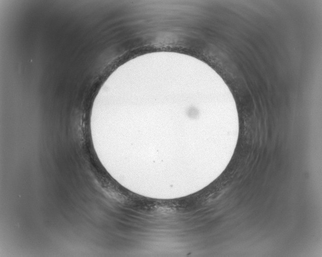 X0000074330592200609230054