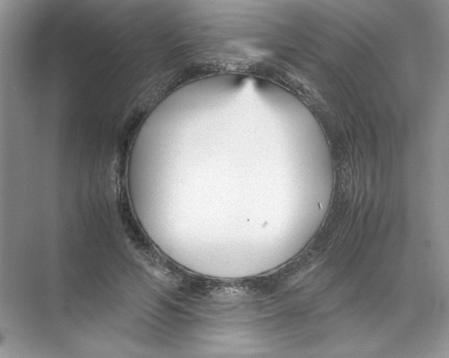 X0000074330594200609230054