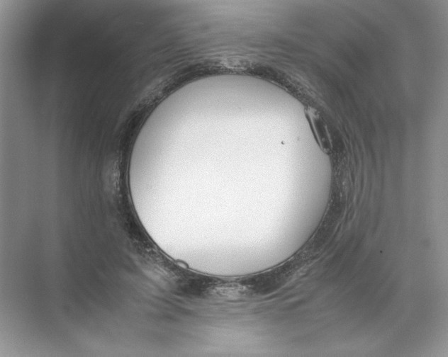 X0000074330595200609230054