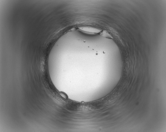 X0000074330596200609230054