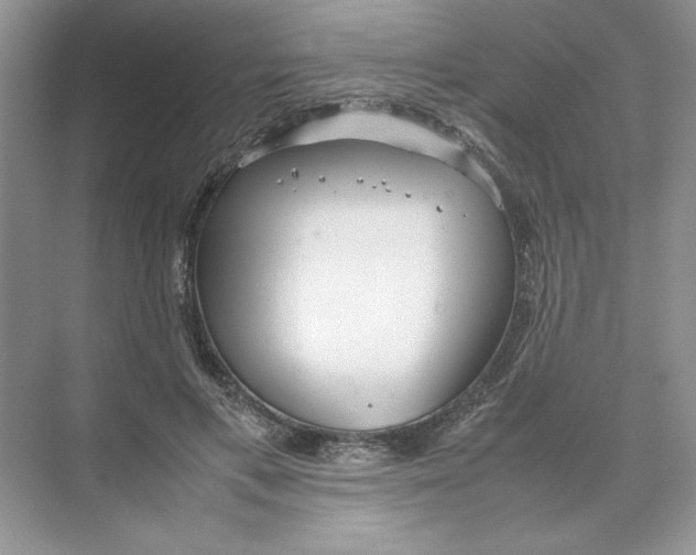 X0000074330597200609230054