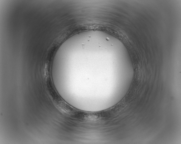 X0000074330598200609230054