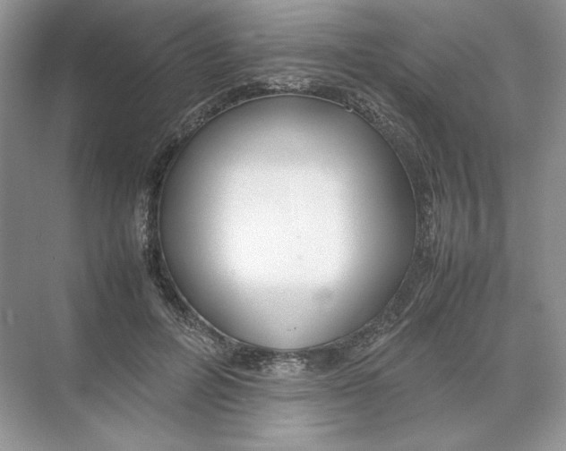 X0000074330600200609230054