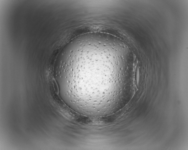 X0000074330601200609230054