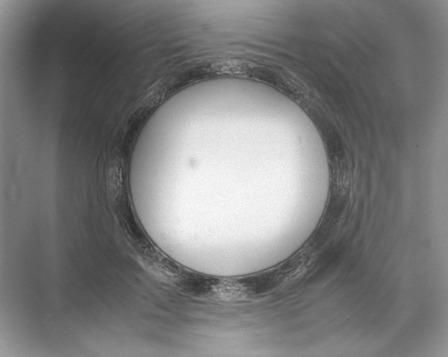 X0000074330603200609230054