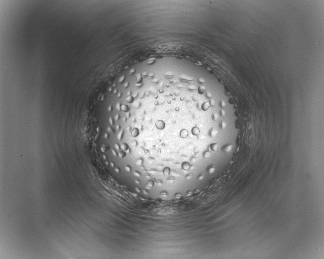 X0000074330604200609230054