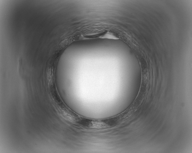 X0000074330605200609230054