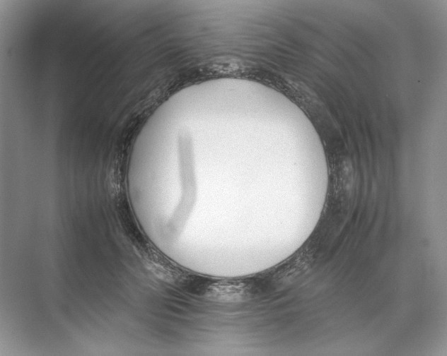 X0000074330606200609230054