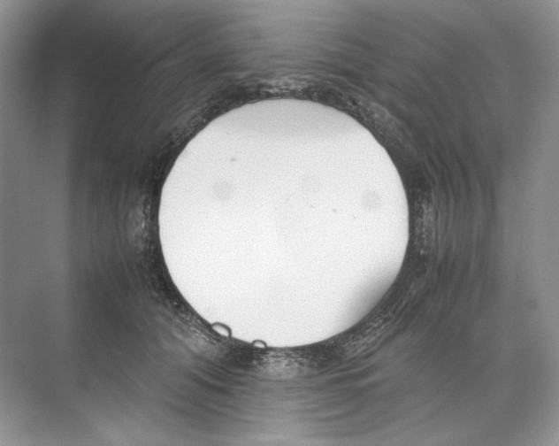 X0000074330608200609230054