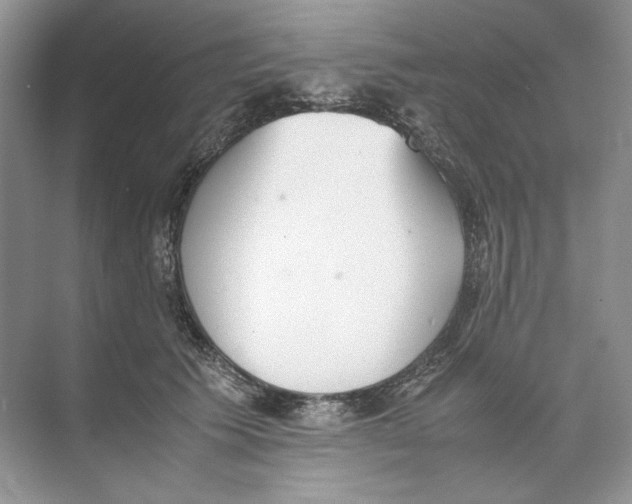 X0000074330609200609230054