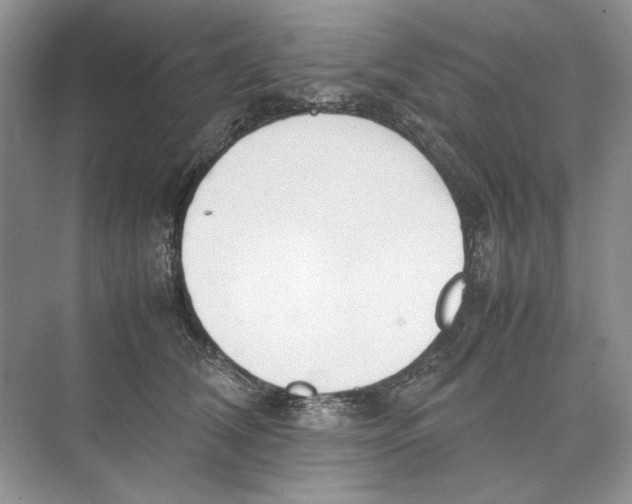 X0000074330612200609230054