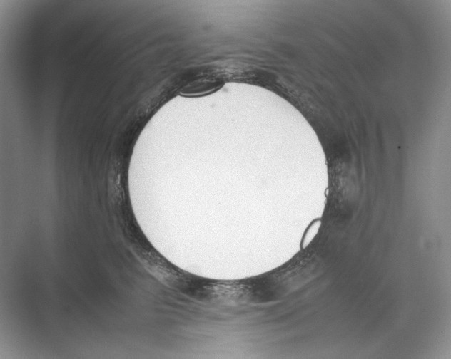 X0000074330615200609230054