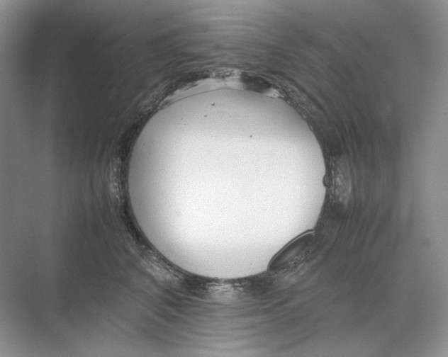 X0000074330616200609230054