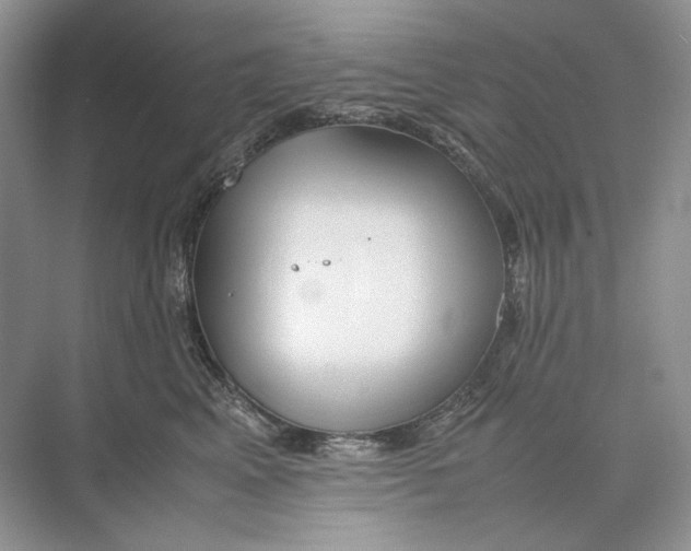 X0000074330617200609230054