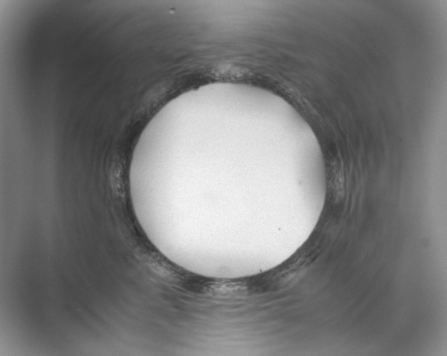 X0000074330619200609230054