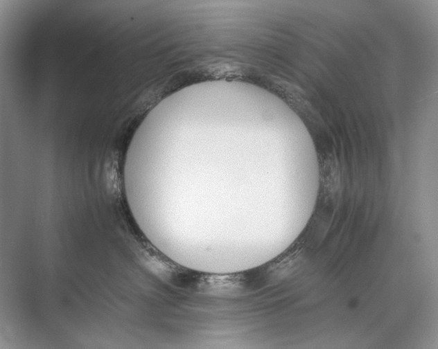 X0000074330622200609230054