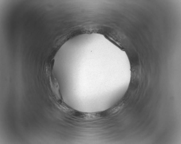 X0000074330623200609230054