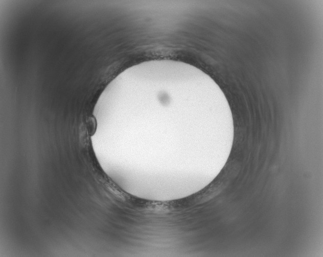 X0000074330624200609230054