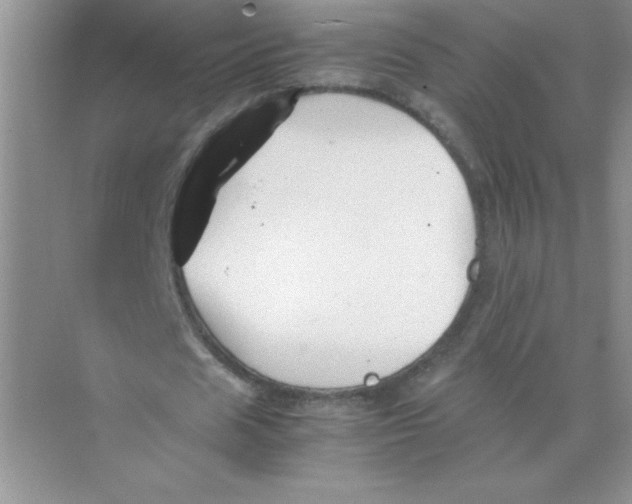 X0000074330625200609230053