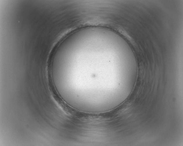 X0000074330626200609230053