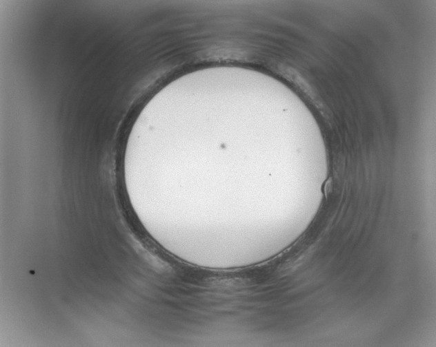 X0000074330629200609230053