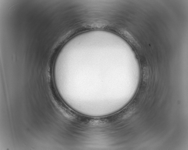 X0000074330634200609230053