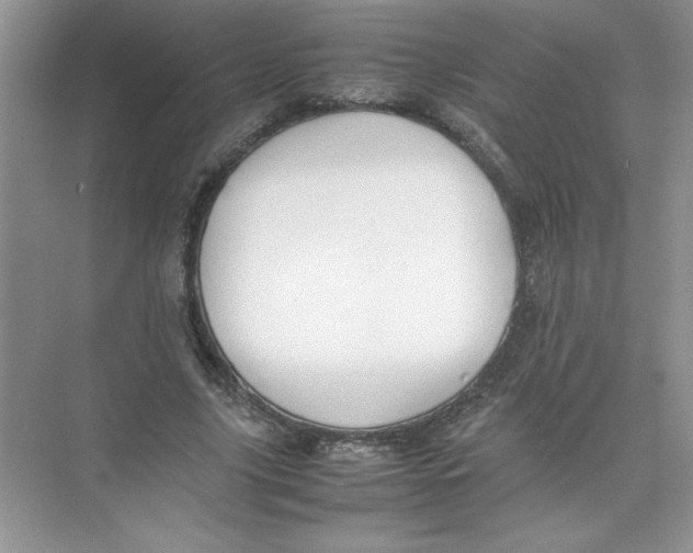 X0000074330635200609230053