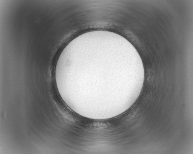 X0000074330636200609230053