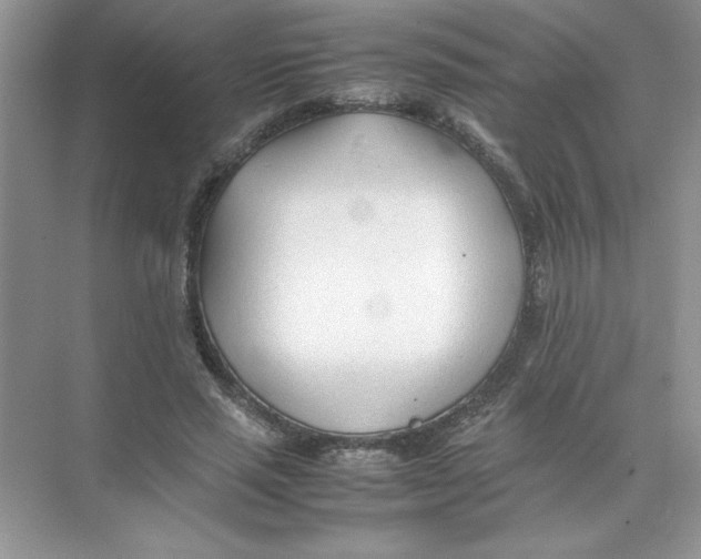 X0000074330637200609230053