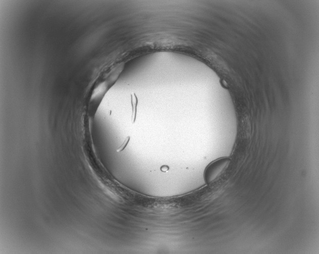 X0000074330638200609230053