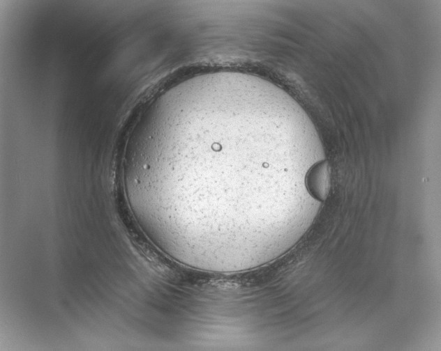 X0000074330640200609230053