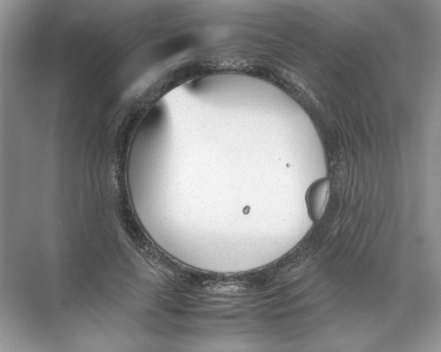 X0000074330643200609230053