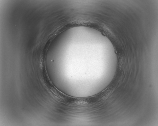 X0000074330644200609230053