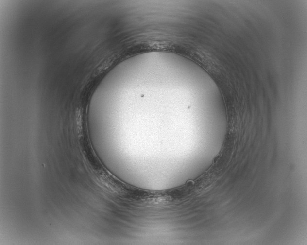 X0000074330646200609230053