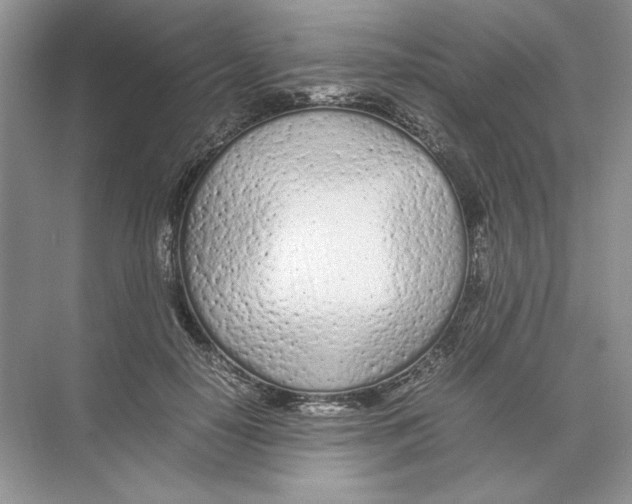 X0000074330650200609230053