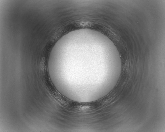 X0000074330651200609230053